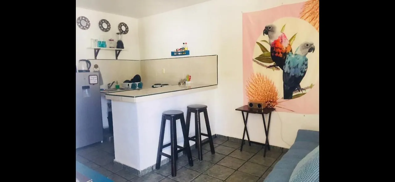 Casa De Hojas Apartment Playa del Carmen Mexico